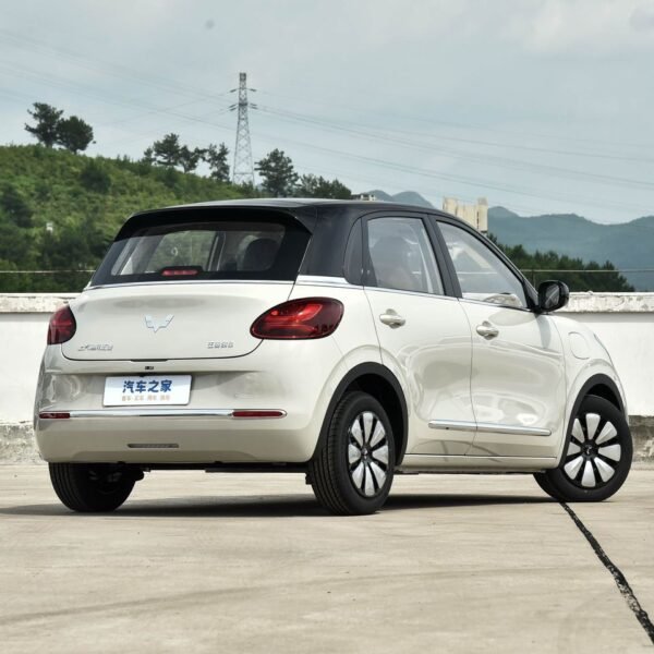 WhatsApp Image 2026 04 12 at 15 45 13 1 600x600