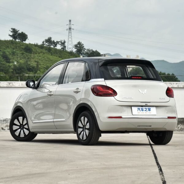 WhatsApp Image 2026 04 12 at 15 45 13 600x600